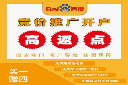 搜索引擎营销（SEM）的精准投放技巧案例