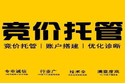 SEM代理成功案例：提升品牌曝光率
